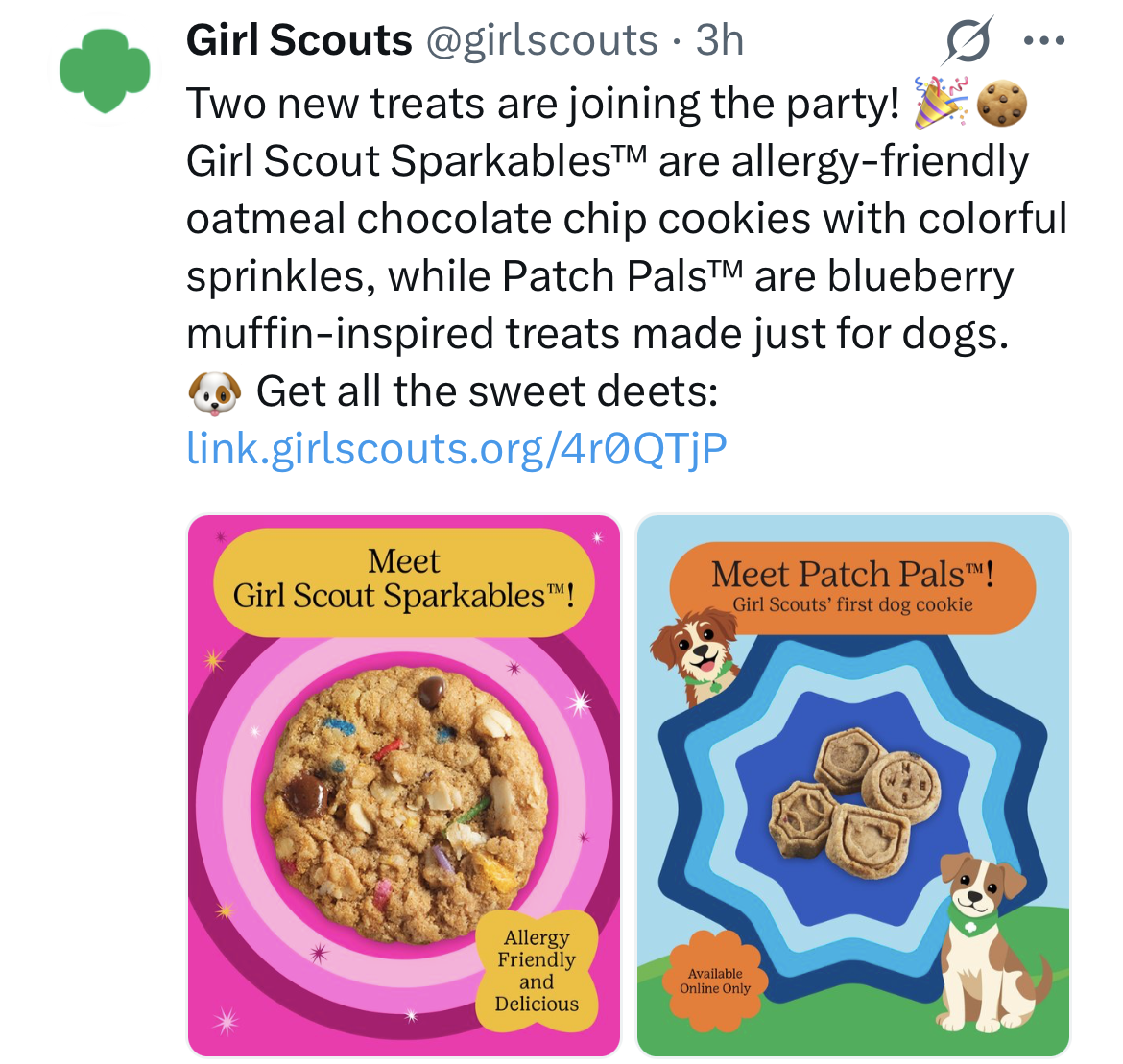 Girl Scouts (@girlscouts) X.png