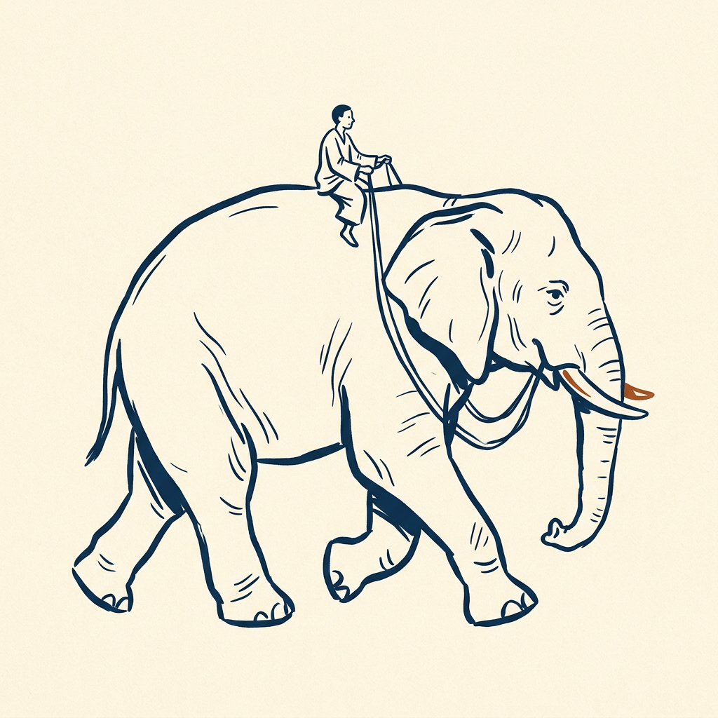 Rider on the elephant