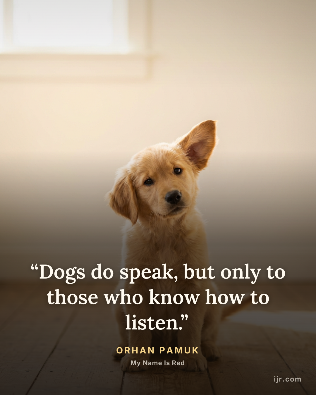 “Dogs do speak, but only to those who know how to listen.” — Orhan Pamuk, My Name Is Red