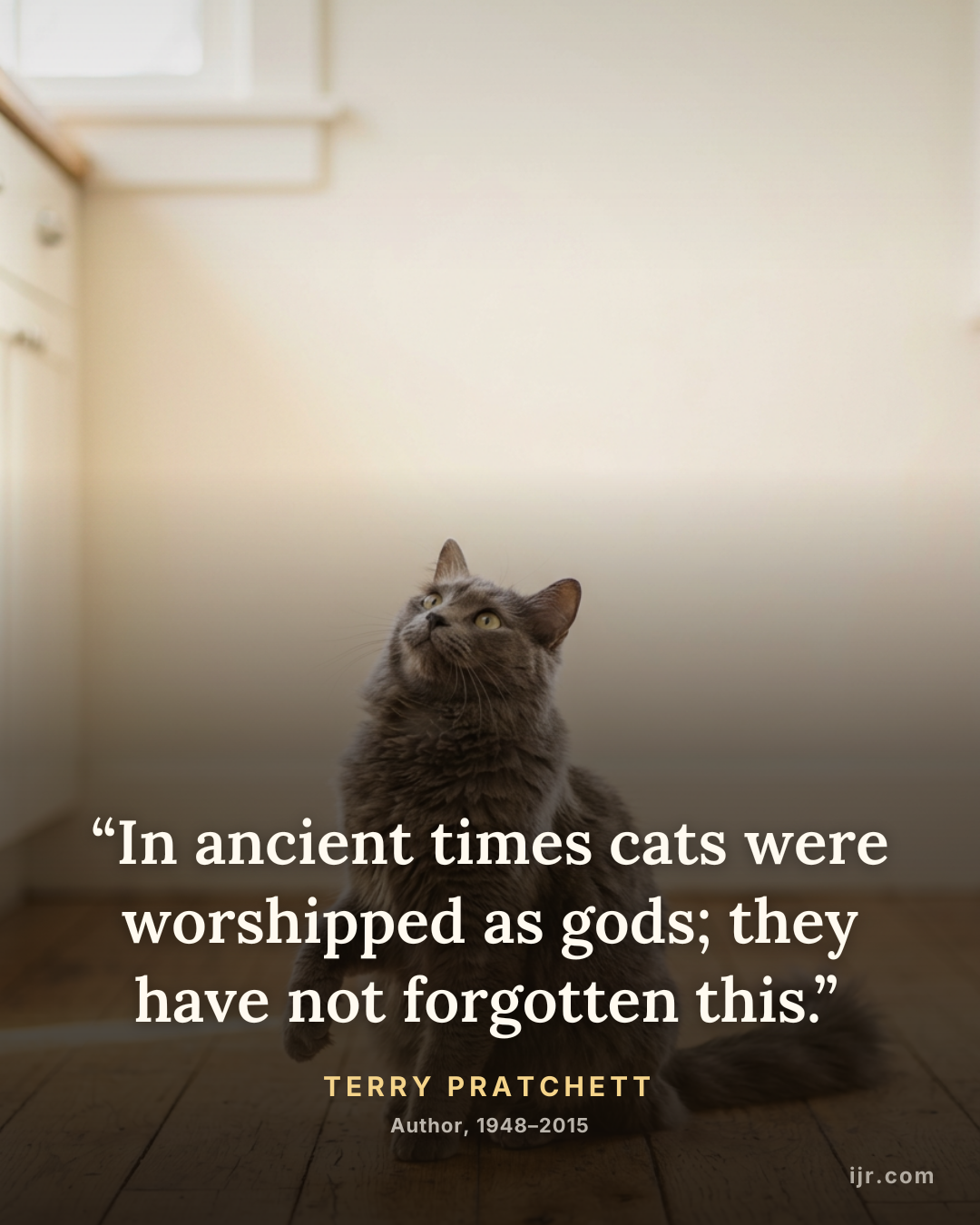 “In ancient times cats were worshipped as gods; they have not forgotten this.” — Terry Pratchett, Author, 1948–2015
