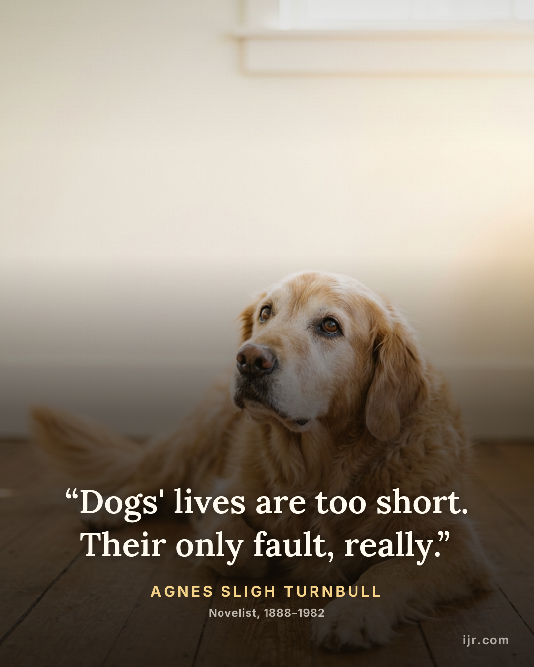 “Dogs' lives are too short. Their only fault, really.” — Agnes Sligh Turnbull, Novelist, 1888–1982