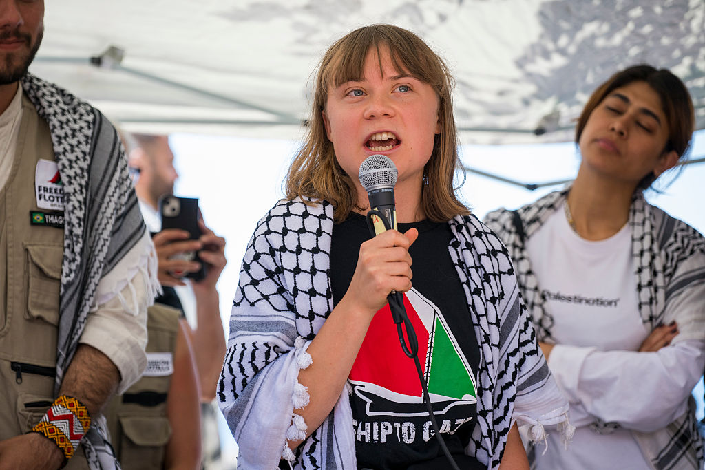 Gaza-Bound Vessel Carrying Greta Thunberg Detained by IDF