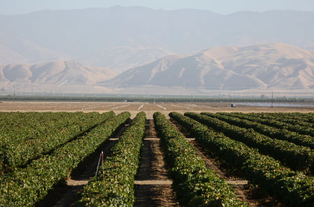 California Farmer Reveals Once-Great Agricultural Powerhouse 'Now Just a Wasteland'
