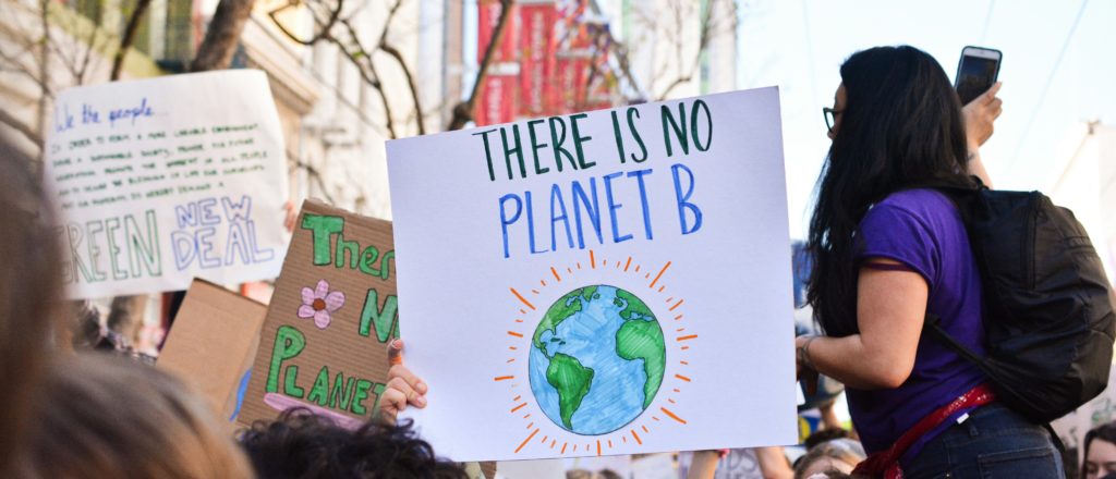 Top Dog At Sierra Club Jettisoned After Staff Revolt