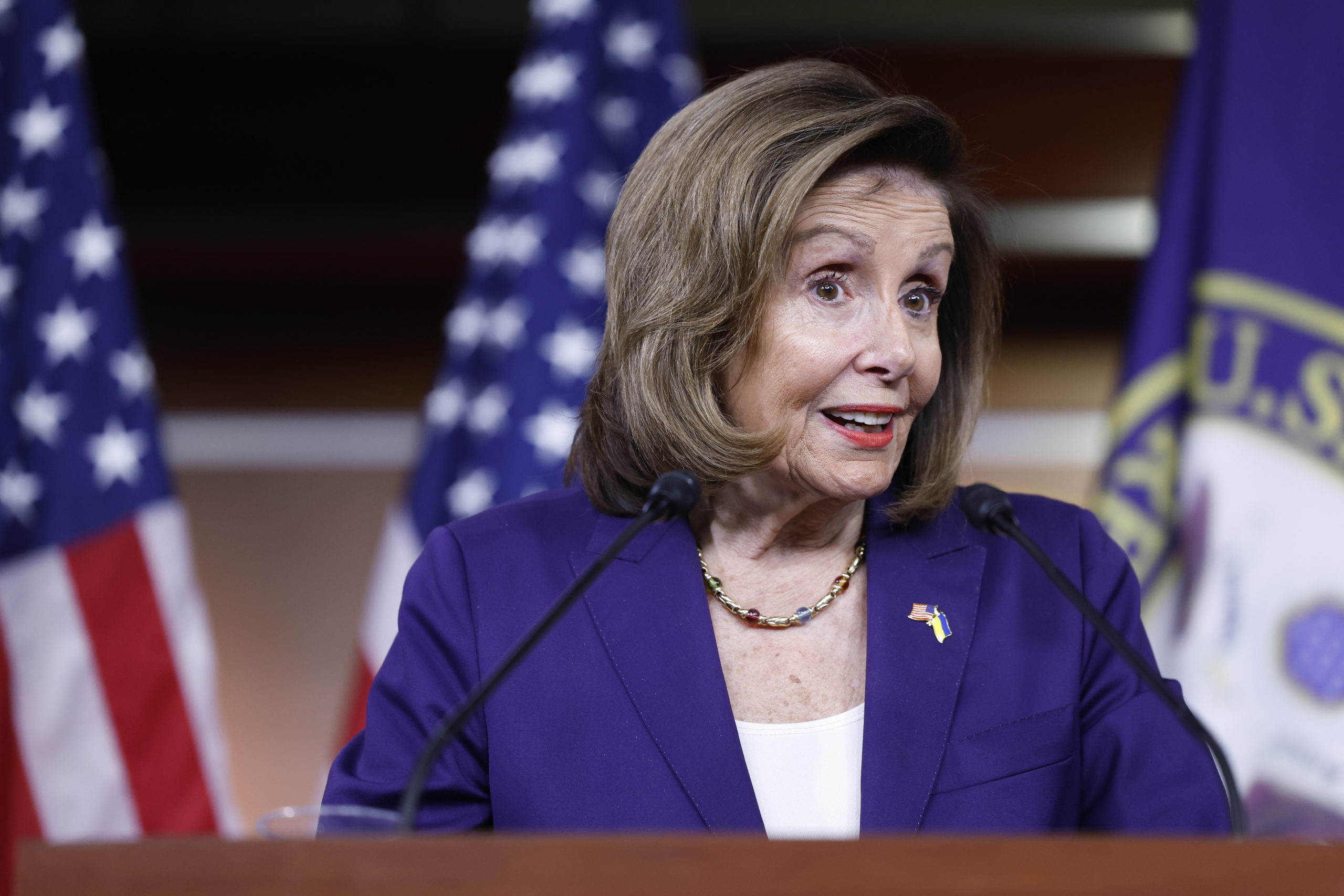 Pelosi Reportedly Asked if She Was a ‘B***H’ During a Teleconference Call With Mike Pence