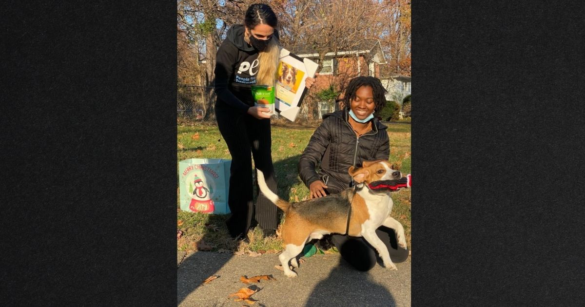 Dog With 'Sixth Sense' Saves Neighbor's Life After Literally Racing to Help