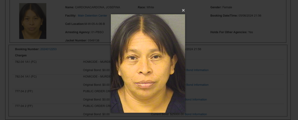 EXCLUSIVE: Illegal Immigrant Mom Arrested For Trying To Hire Hitman Was Released From ICE Detention Years Ago