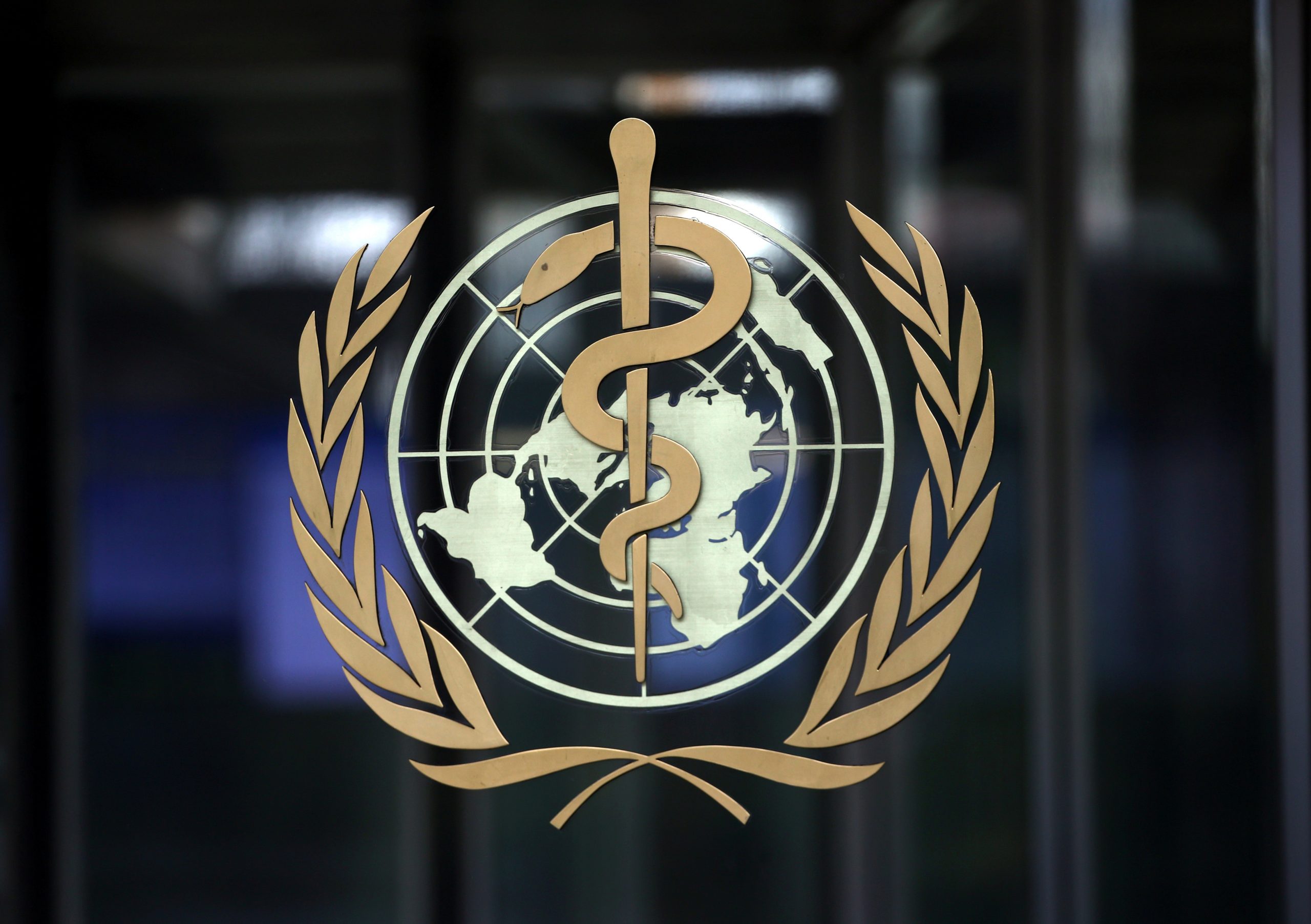 WHO Sees ‘Potentially Positive Data’ on COVID-19 Treatments