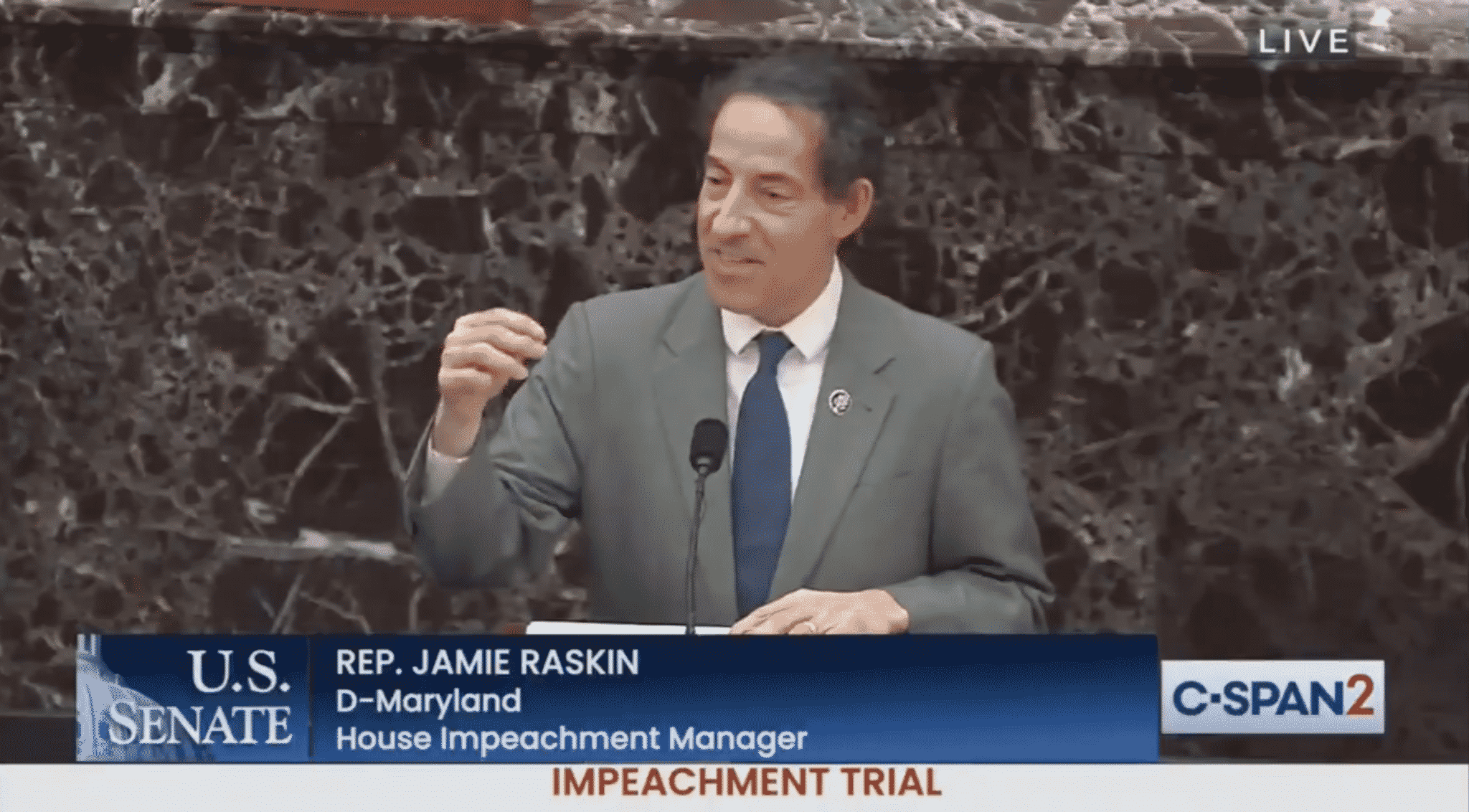 Raskin: This Case Is ‘So Much Worse’ Than Someone Who ‘Falsely Shouts Fire in a Crowded Theater’