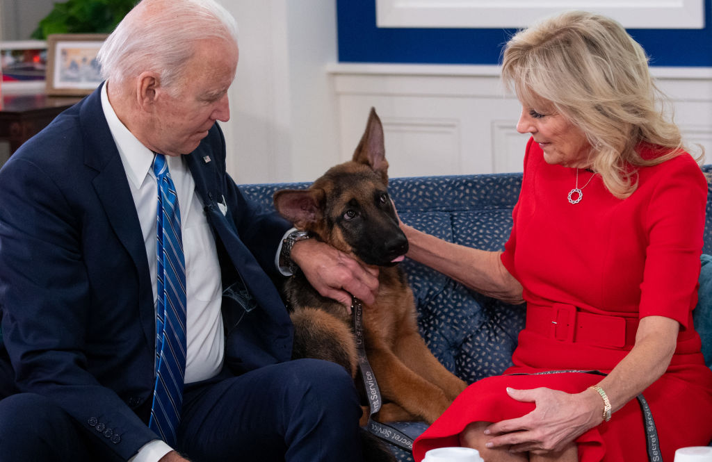 Biden’s Latest Dog Has Already Sent a Secret Service Agent to the Hospital and Bitten 6 Others: Report