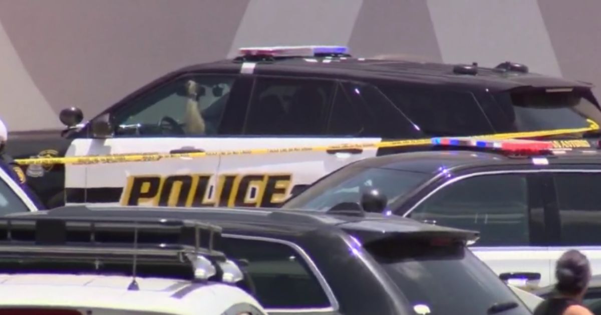 Man Tracks Down His Stolen Vehicle, Kills Alleged Thief in Self-Defense – Angry Brother Calls Car Owner a ‘Vigilante’