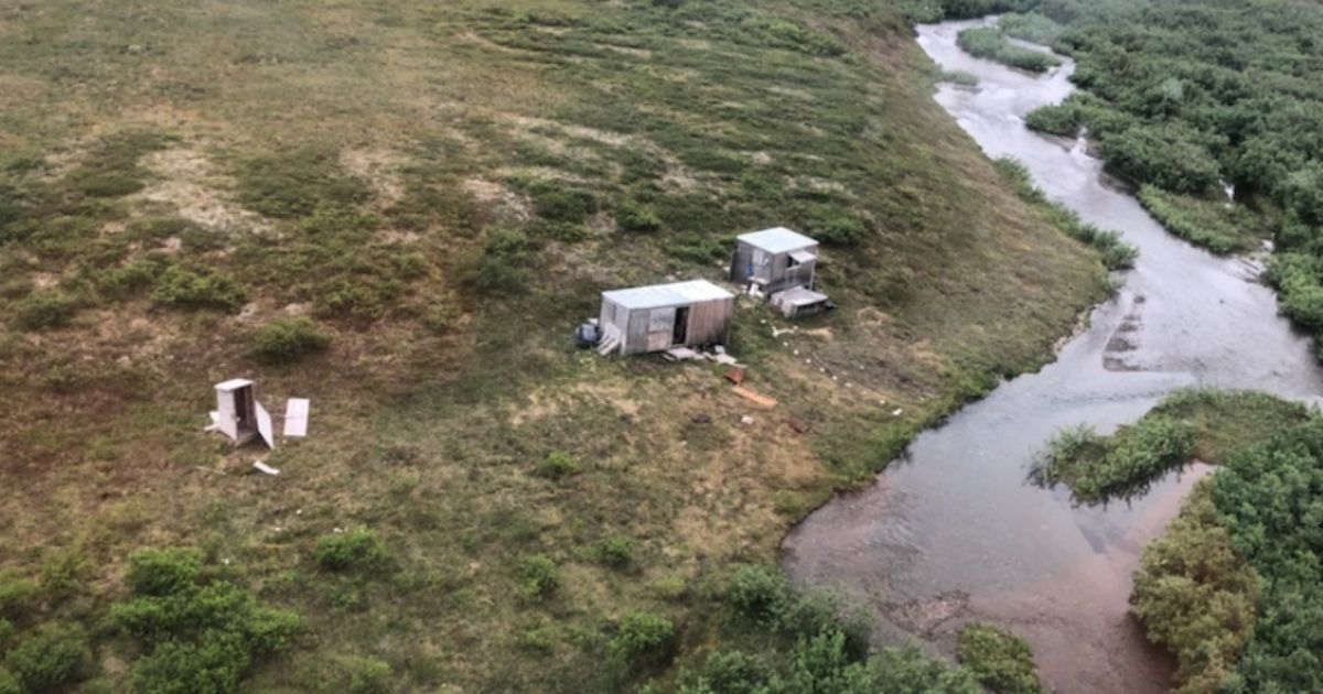 Horror in Alaska: Man Stalked and Savaged by Grizzly Was Down to His Last Two Rounds, Saved After Helicopter Detour
