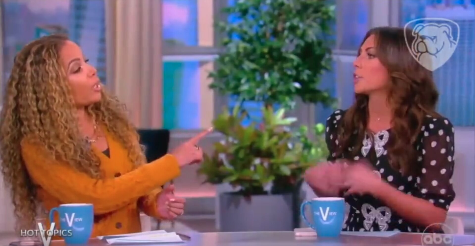 Sunny Hostin Accuses Conservative Co-Host of ‘Twisting’ Her Comment About White Women and Roaches