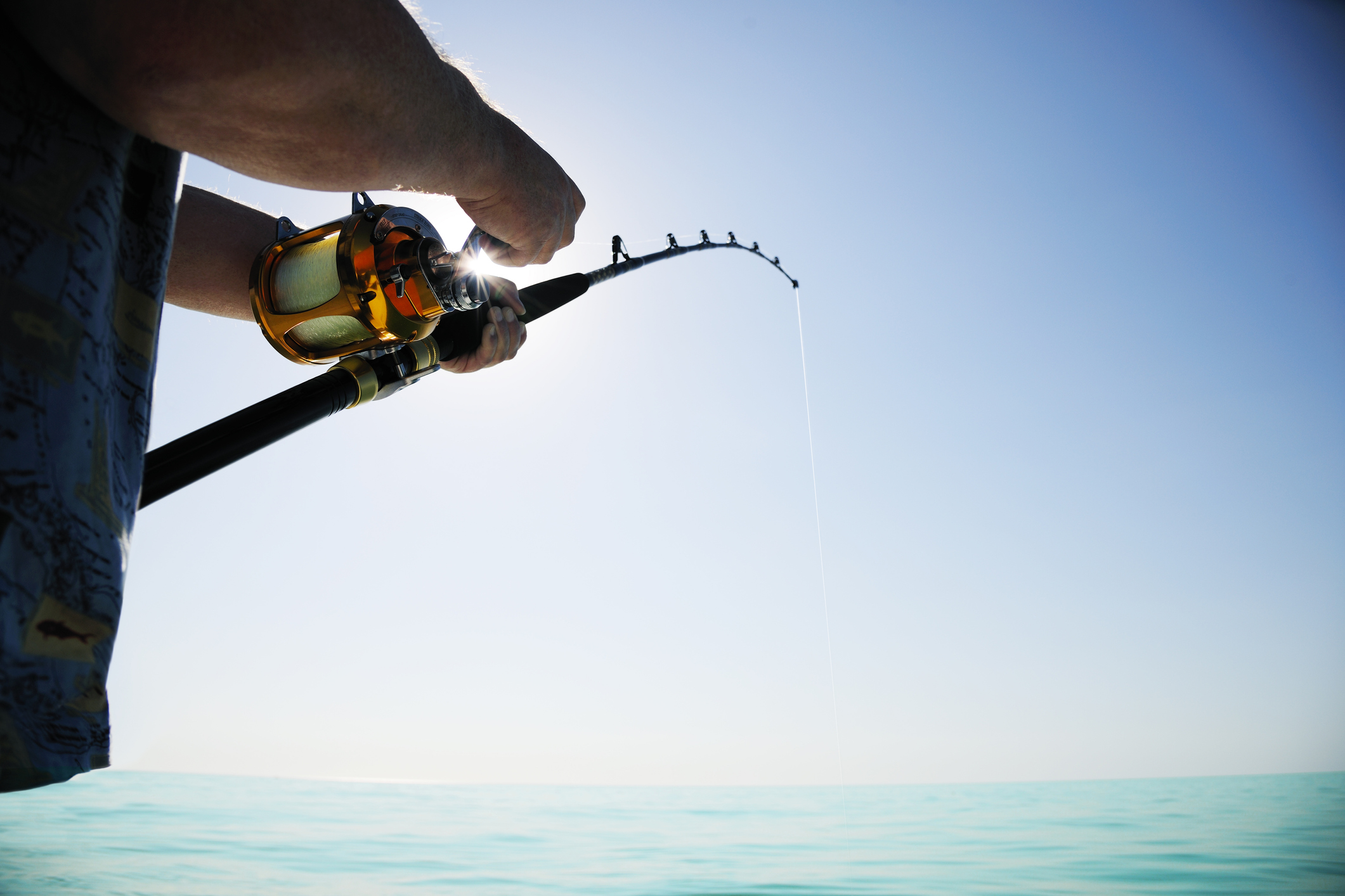 Man Catches Shark and Bludgeons It with a Hammer – Now He’s Facing Charges After Authorities Realize What the Fish Actually Was