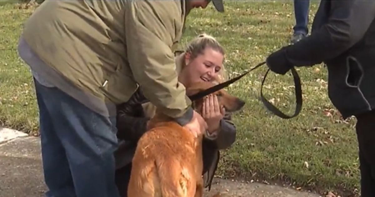 Family Dog Goes Missing for 3 Years, Then Has Unbelievable Reunion