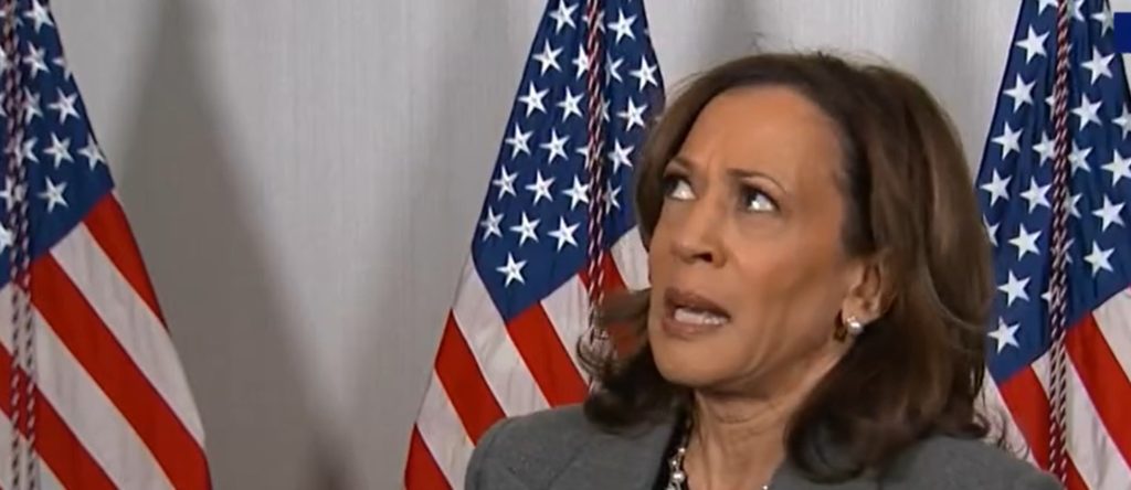 MSNBC Guest Claims Kamala Harris Running ‘One Of The Most Perfectly Executed Campaigns’ In American History