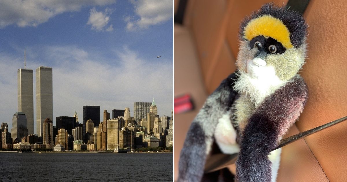 20 Years After 9/11, Man Attempts to Locate Toddler He Says Left Behind Stuffed Animal During Escape