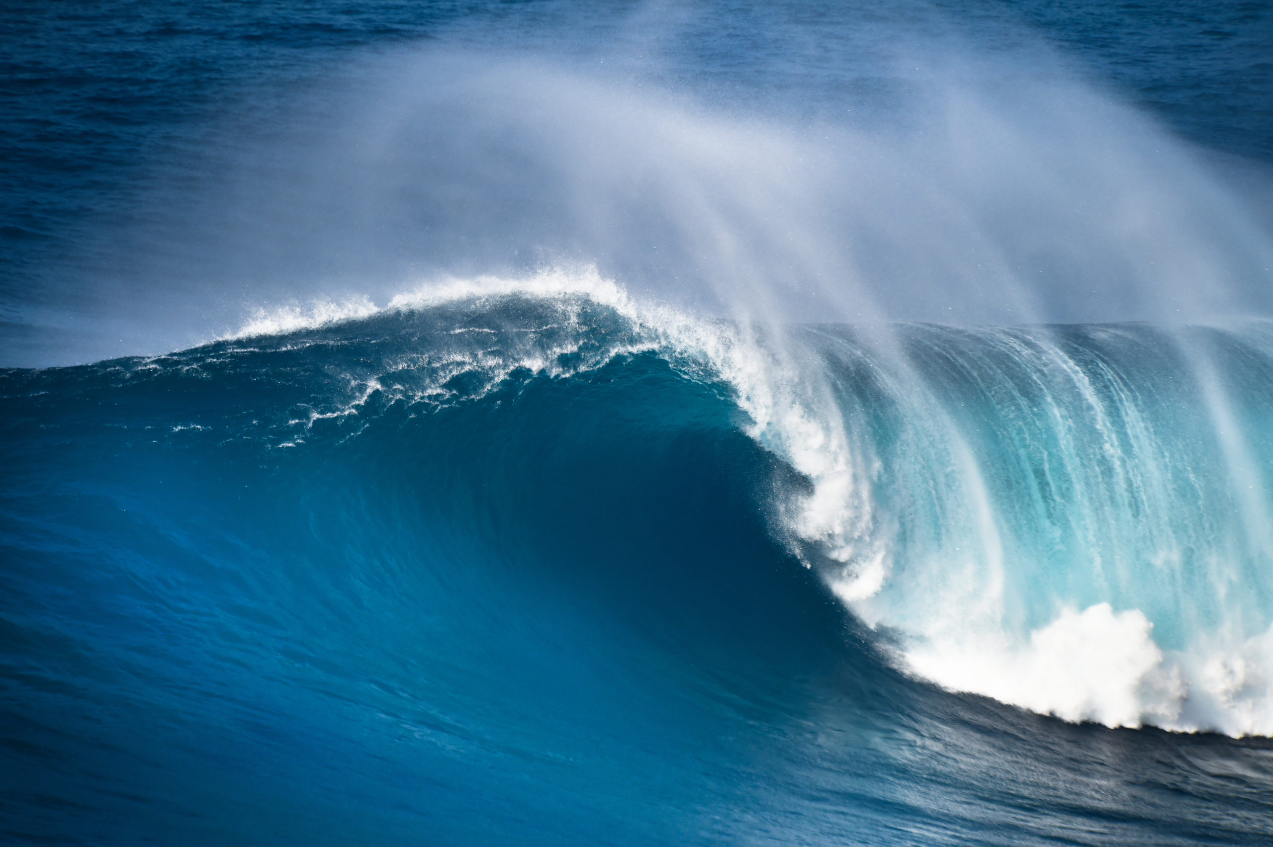 Couple Files Lawsuit Against Tour Company, Claims They Were Left Stranded in the Ocean