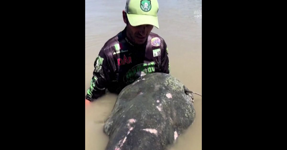 Angler Reels in ‘Prehistoric’ Fish – Look What He Chose to Do with 9-Foot Monstrosity