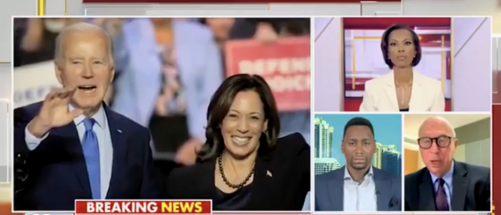 Former Clinton Adviser Says He Has ‘Trouble With’ How Dems Undemocratically Gave Harris ‘Rubber Stamp’