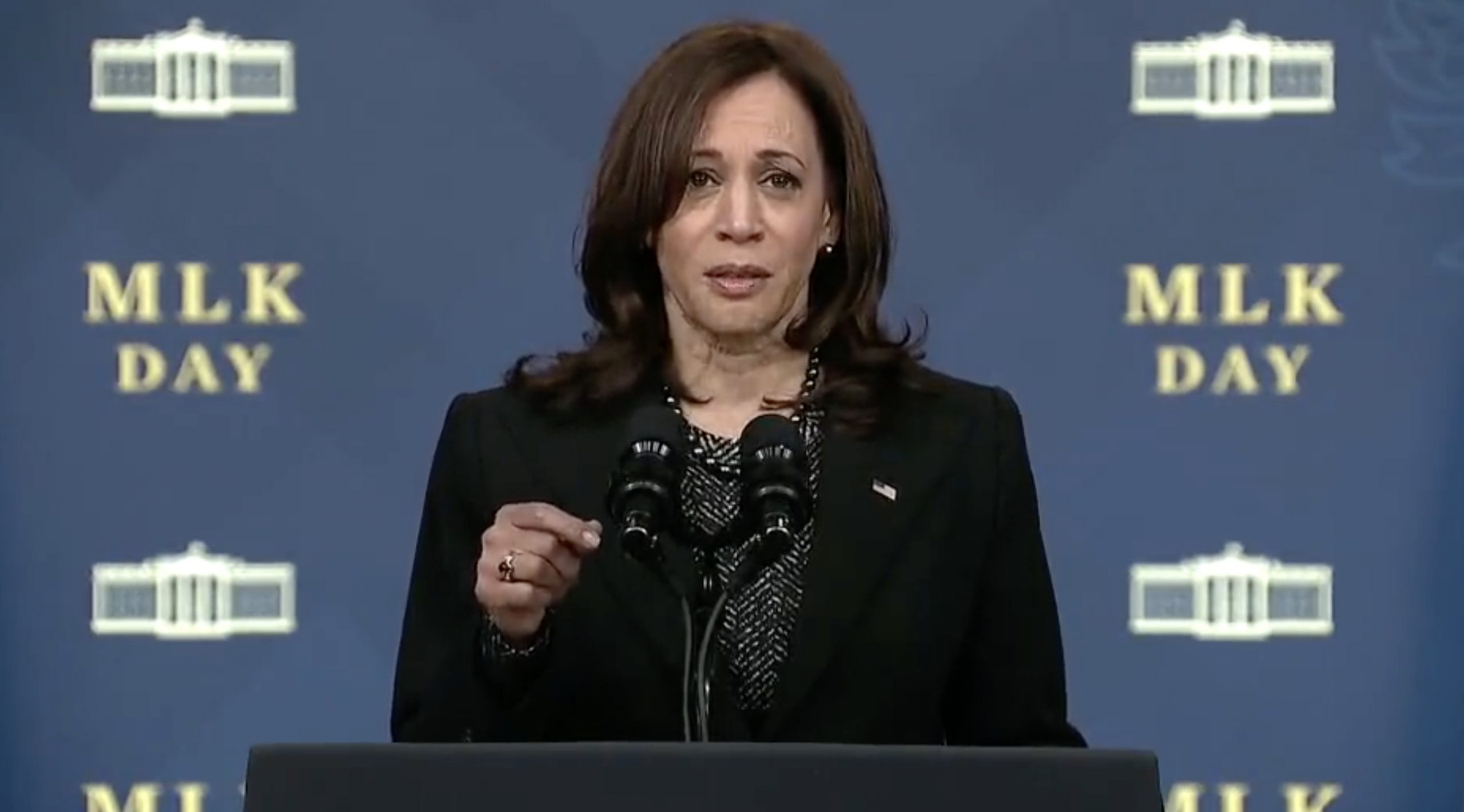 Kamala Harris: Supporters of ‘Anti-Voter’ Laws Are ‘Working to Interfere’ With Elections