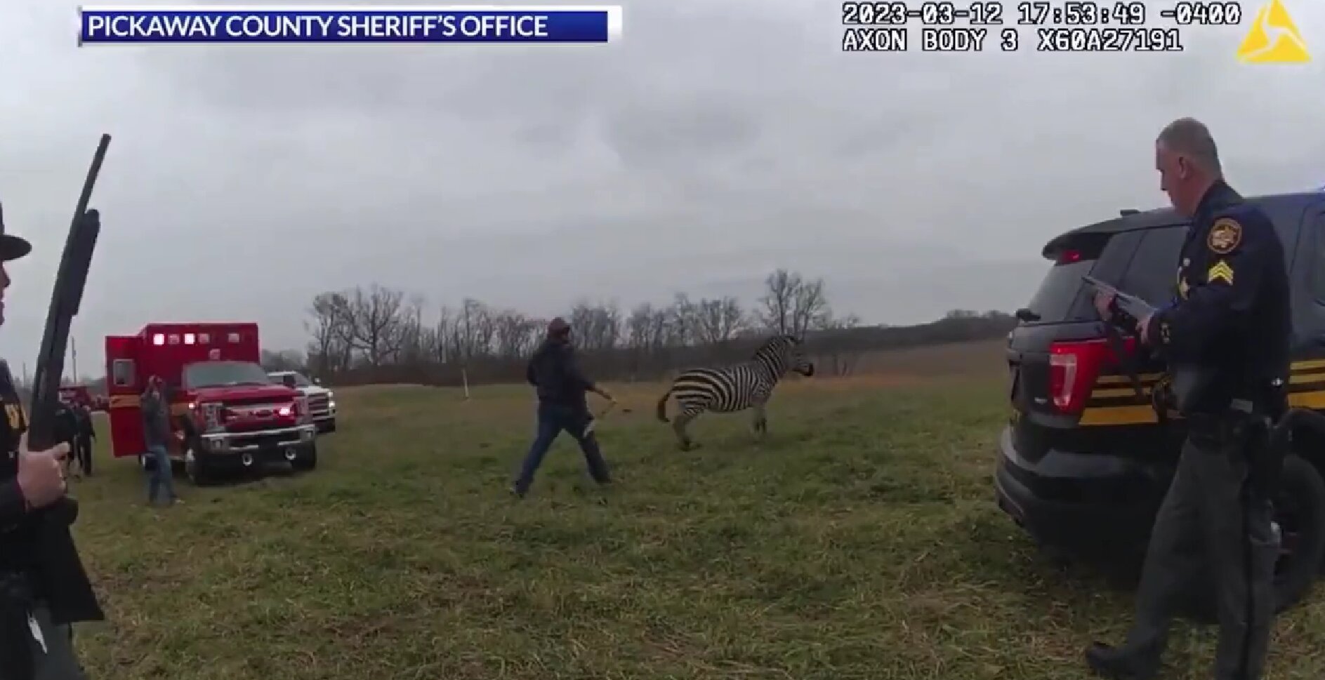 Video Shows Family, Deputies Attempting to Fend Off Zebra After It Nearly Bit a Man’s Arm Off