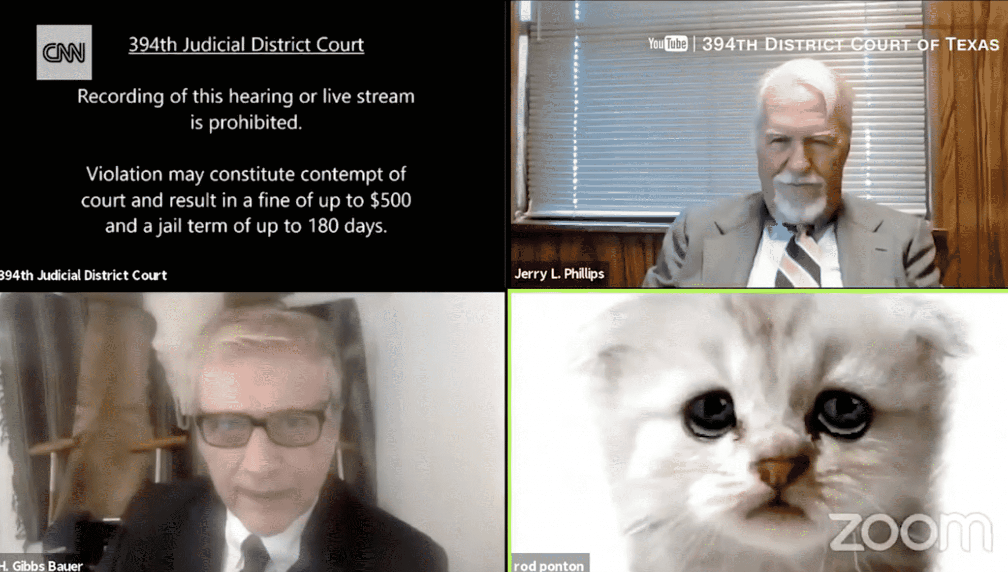 Lawyer Tells Judge He Is ‘Not a Cat’ After Filter Difficulties on Zoom