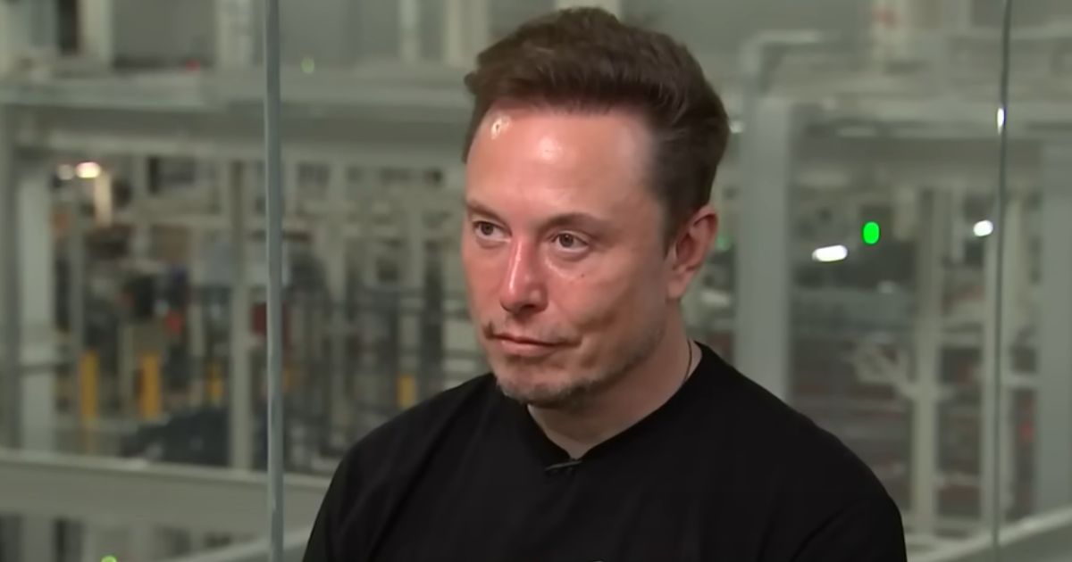 Elon Musk Takes Long Pause, Gives Activist Reporter Perfect Answer to Question