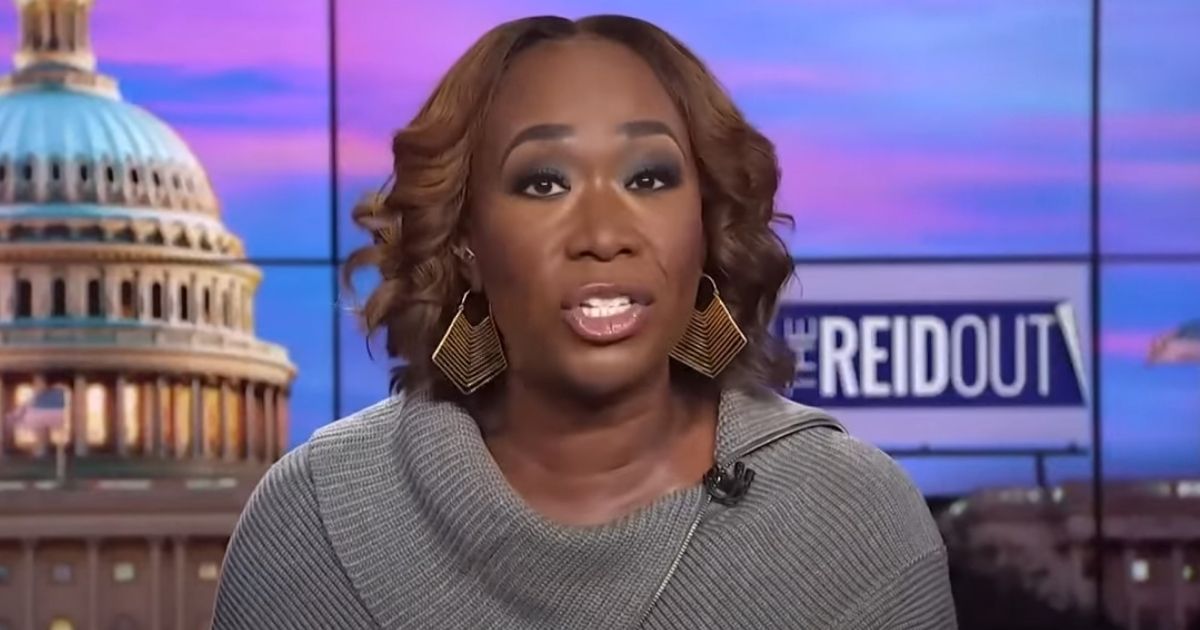Joy Reid Implies Elon Musk Is Racist, Sexist for Using the Term ‘Karen’