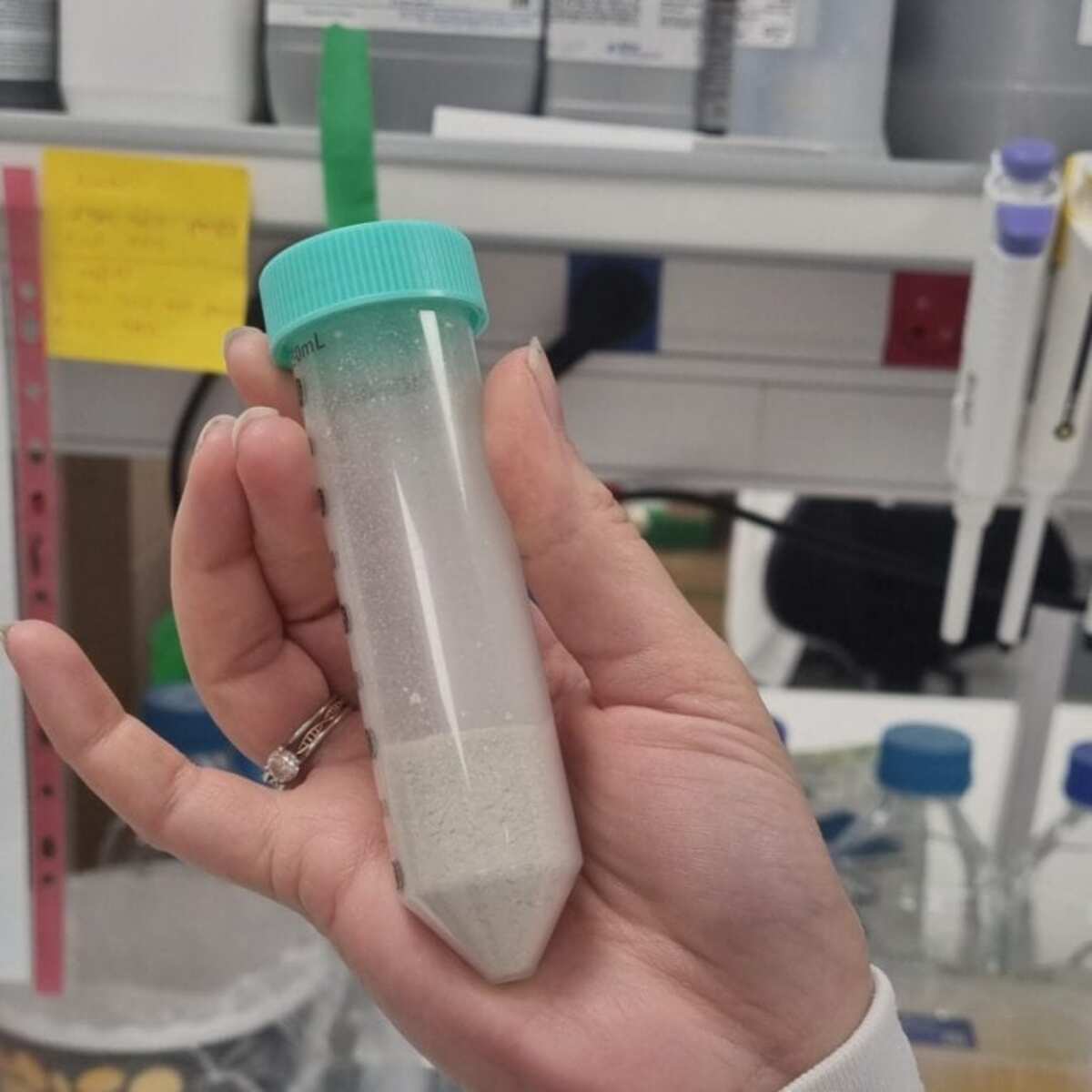 Israeli Startup Day 8 Revolutionizes Protein Extraction From Discarded Leaves‌
‌
