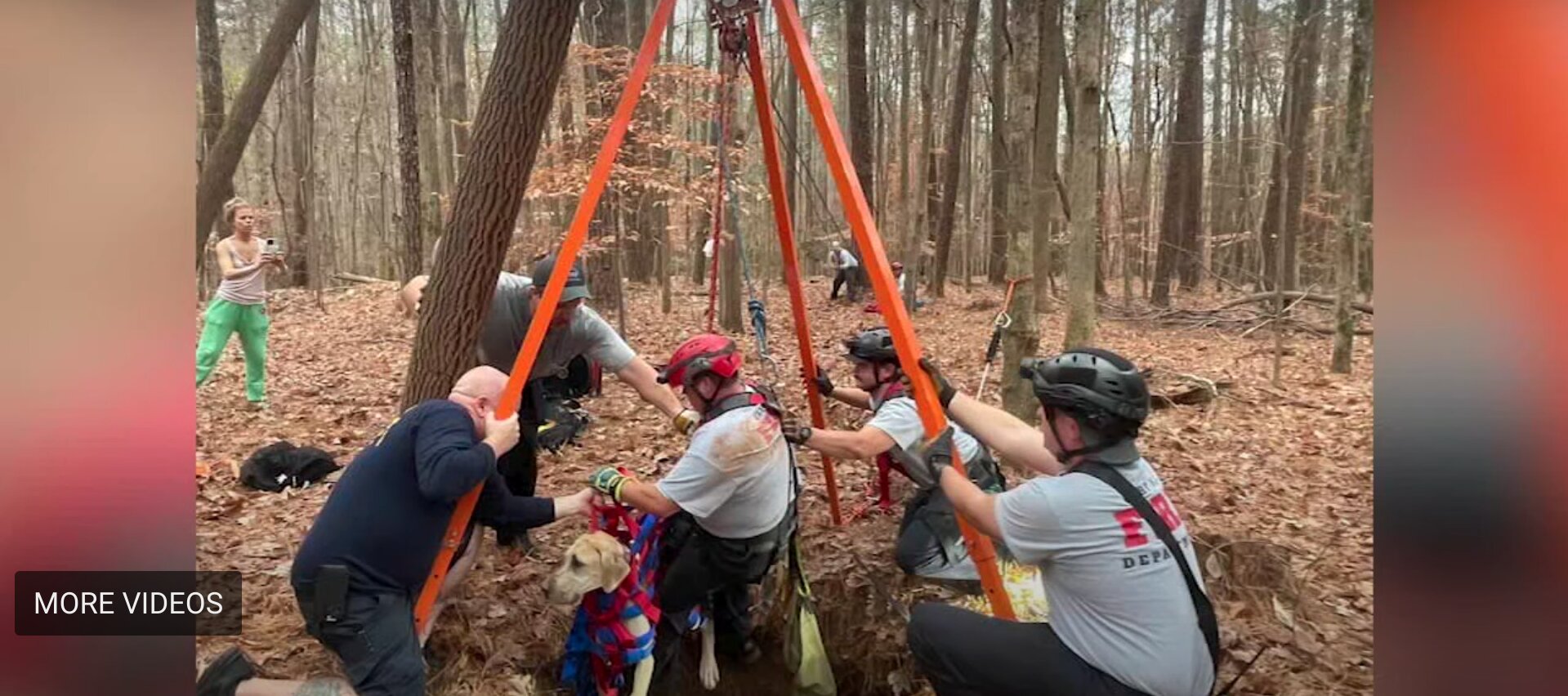 Puppy Saved By North Carolina Firefighters After Falling Down Well