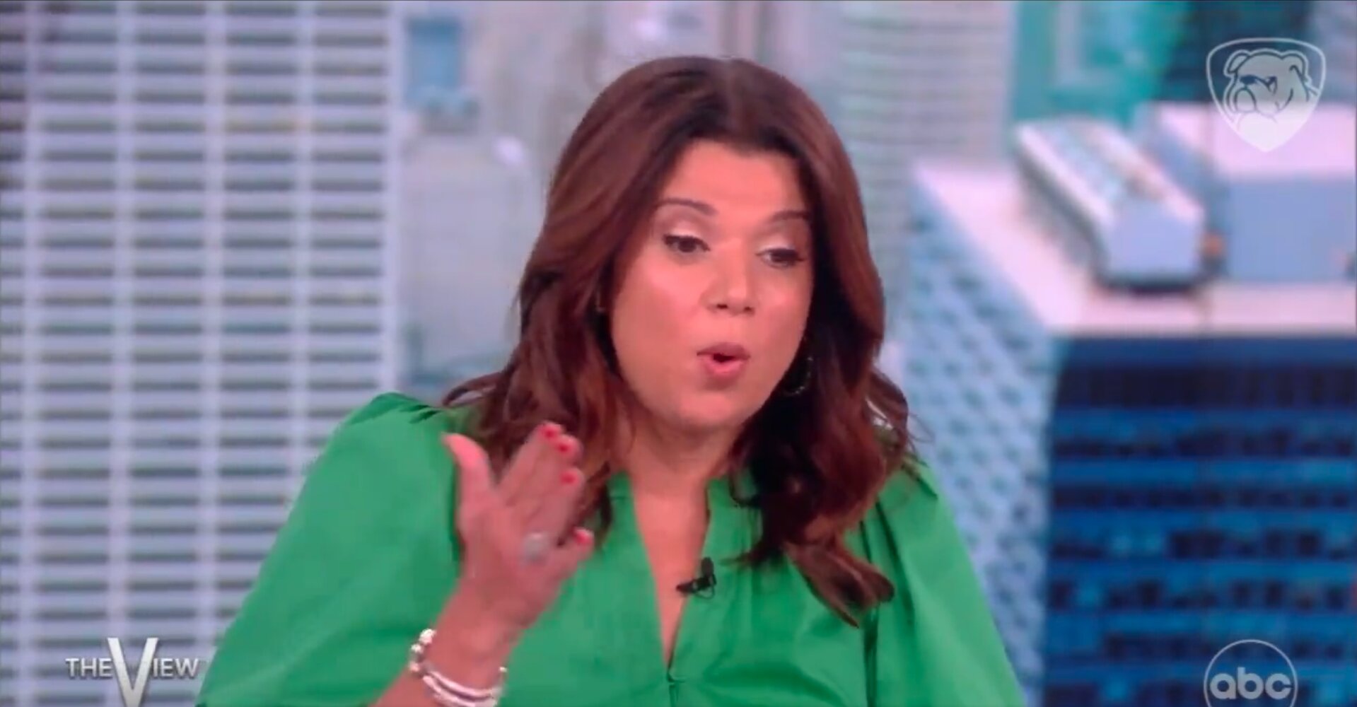 ‘The View’ Co-Host Roasted for Declaring Black People Are ‘Not Immune’ From Being White Supremacists