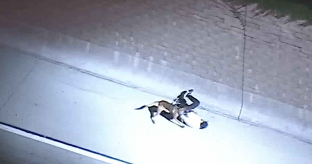 K-9 Takes Down Armed Man After Bearcat Rams Stolen Truck in Insane Chase Footage