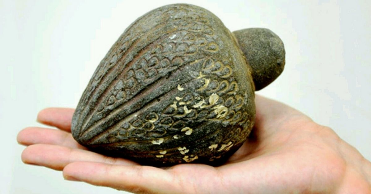 Ancient 'Jar' Discovered in Jerusalem Might Have Actually Been a Powerful Weapon