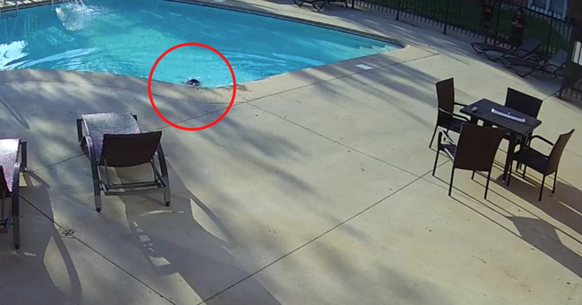 Hero Jumps Fence, Leaps Into Pool to Save Age-4 Boy with Autism from Drowning