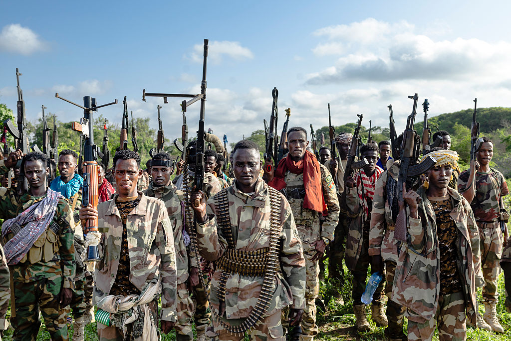 Investigation Claims Minnesota Tax Dollars Funneled to Al-Shabaab Through Fraud Schemes