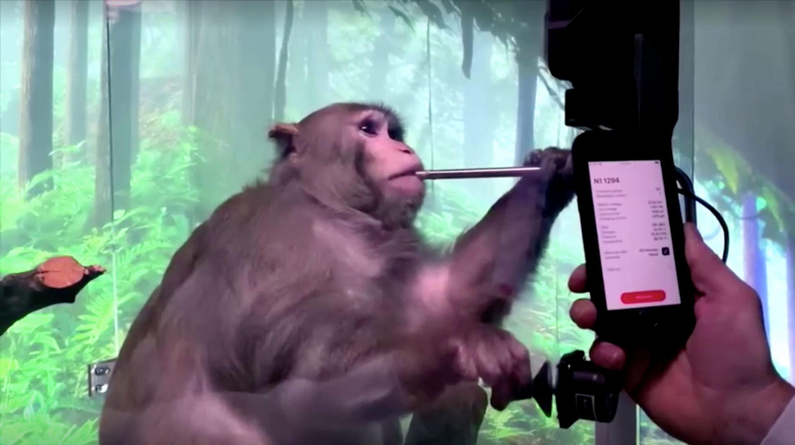 Watch: Elon Musk’s Neuralink Shows Monkey With Brain-Chip Playing Videogame by Thinking