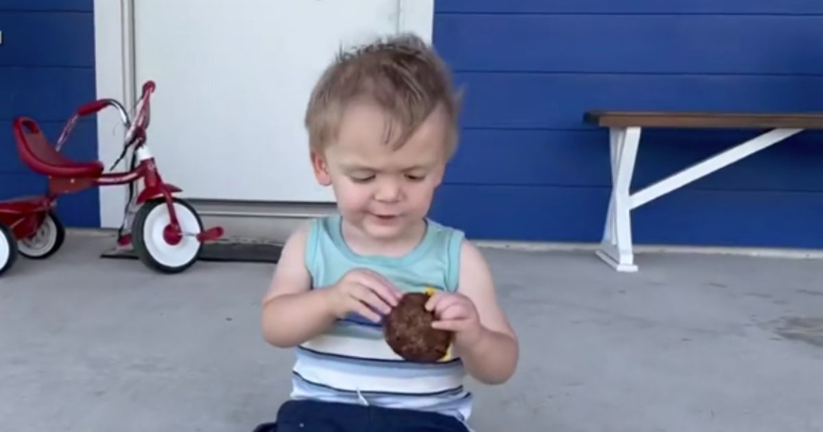 Toddler Playing with Mom's Phone Accidentally Orders Over 30 Cheeseburgers Through DoorDash