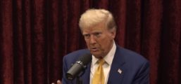 DANIEL MCCARTHY: Trump’s Trade Lesson For Economists