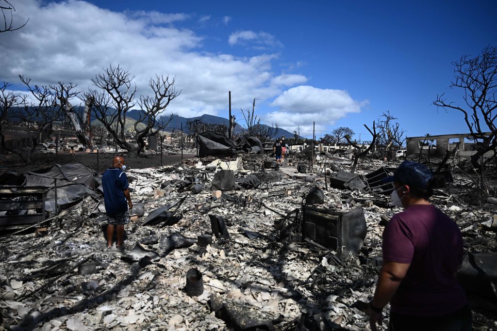 Hawaii Regulators and Utility Company Knew of Fire Hazards, Yet Failed to Act: Report