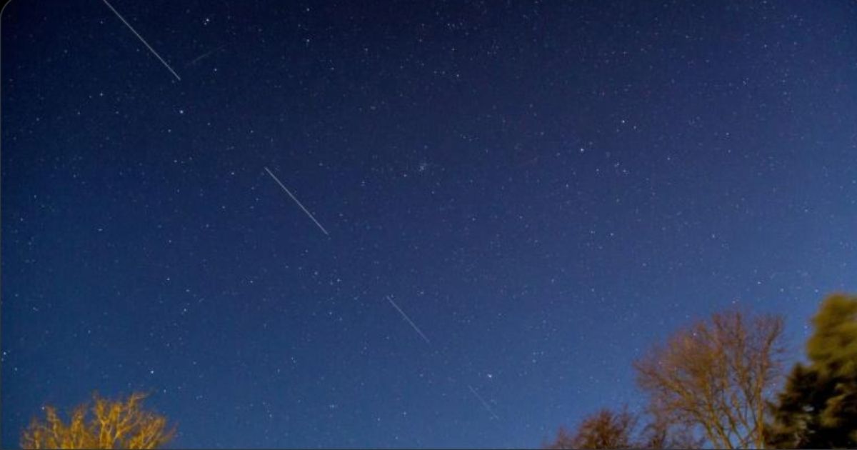 Starlink Activated Over Ukraine, Gives Citizen-Defenders Vital Tool in Fight Against Russia