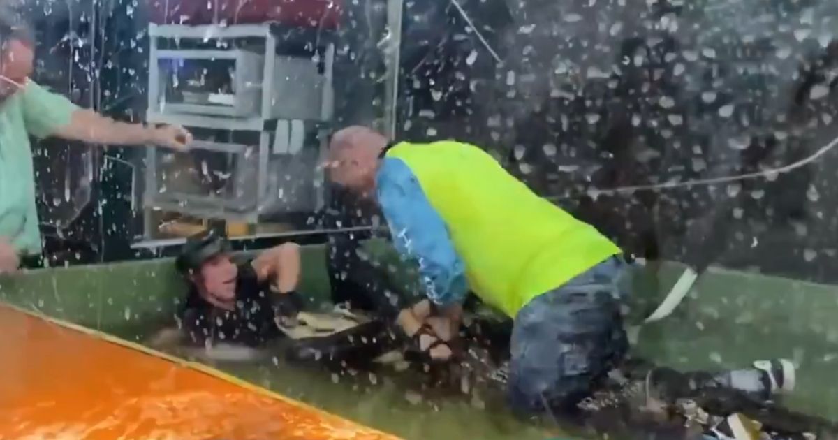 Video: Child's Birthday Party Goes South When Alligator Drags Handler Into Tank, Bites Down on Her Hand
