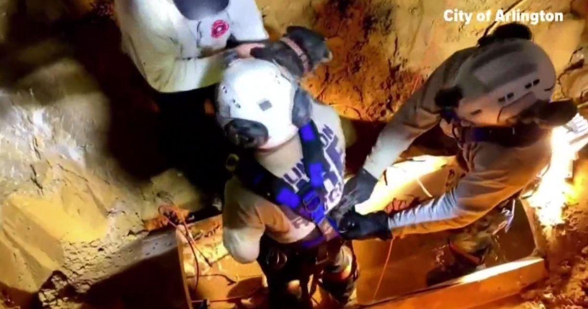 Dramatic Video Shows Moment Deaf Senior Dog Is Rescued from Storm Drain 2 Days After Going Missing