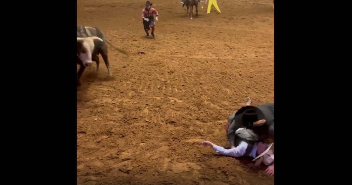 Watch: Bull Rider Knocked Unconscious, Raging Beast Turns to Finish the Job Before His Cowboy Dad Jumps In