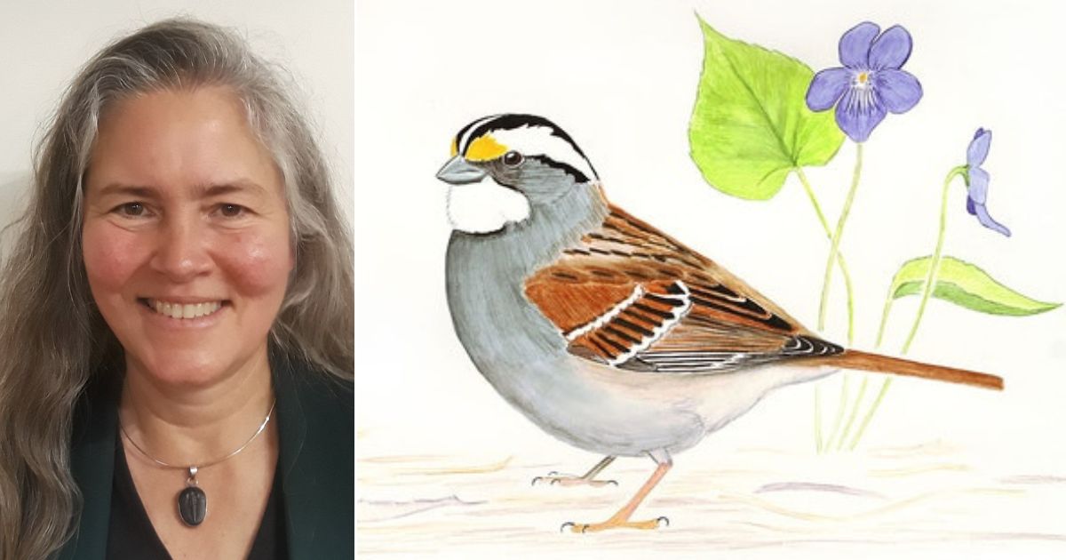 Editor of Scientific American Fails Basic Biology – No, Sparrows Don’t Have Four Different Sexes