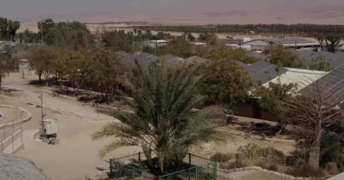 Extinct Tree from Time of Jesus Springs to Life in Israeli Desert