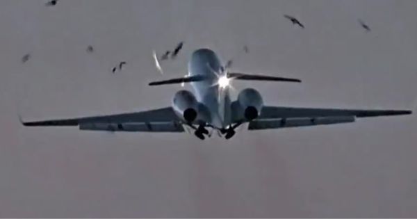 Watch: US Military Plane Carrying Head of National Guard Slams Into Flock of Birds Taking Off from Chicago