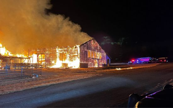 4 Horses Rescued By Man Who Rushed to Save Them From Burning Stables