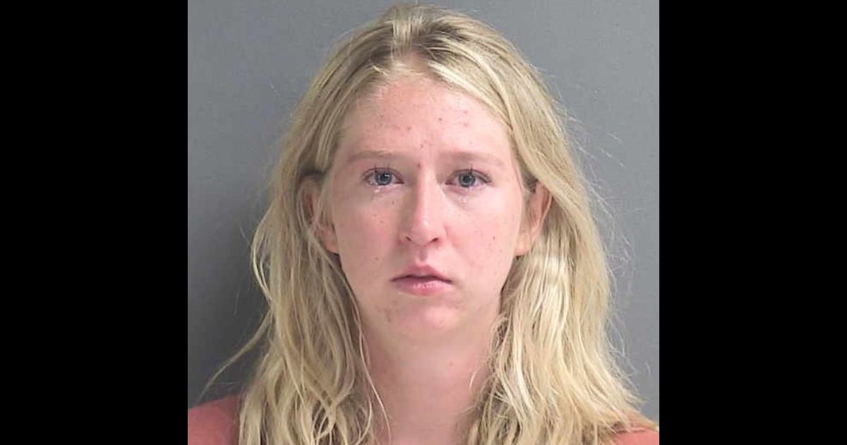 4 Dogs Die after Being Left in a Running Car with A/C on: Owner Charged with Felony Animal Cruelty