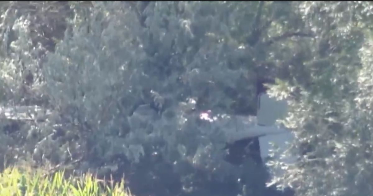 Two Planes Down Over Colorado After Mid-Air Collision